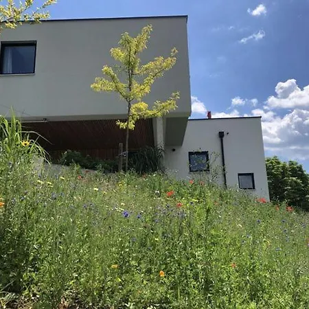 Amazing In * Riedenburg
